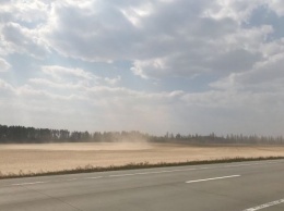 В Украине появилась своя Сахара: жуткие последствия песчаных бурь. ФОТО, ВИДЕО