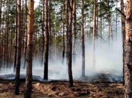 Сегодня просторы Днепропетровщины снова были объяты пламенем