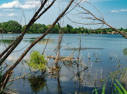 Эколог: За 30 лет в Украине исчезли или превратились в болота около 10 тыс. рек. Нам придется покупать воду за рубежом