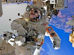 НАСА выпустила отчет относительно микроорганизмов астронавтов на МКС