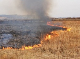 Скандал! Поджигателями травы под Киевом оказались нацгвардейцы (ФОТО, ВИДЕО)