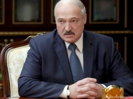 Выборы президента во время пандемии: как готовятся оппоненты Лукашенко