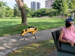 Робот-собака от Boston Dynamics контролирует соблюдение дистанции между людьми в сингапурском парке