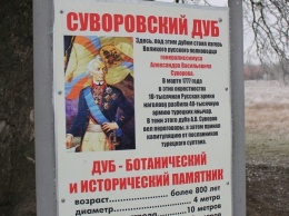 В Крыму взяты под охрану Суворовский дуб и гора Шелудивая
