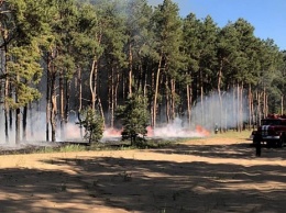 Из-за четырех поджогов 13 мая в Николаевской области горели леса