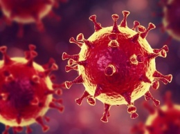 Распространение коронавируса можно предотвратить полосканием ротовой полости
