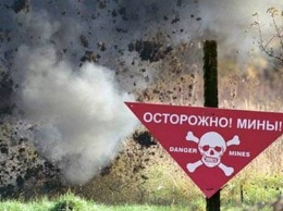 В больнице рассказали подробности о состоянии женщины, подорвавшейся на мине в Донецкой области