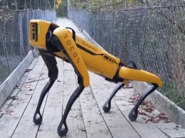Робопес Spot от Boston Dynamics в новом видео гуляет по садам, пасет овец и валяется на травке