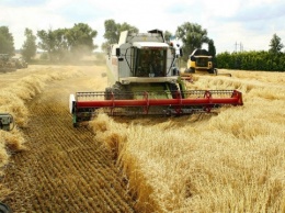 Эксперты прогнозируют, что через пять лет Украина будет собирать 113 миллионов тонн зерна