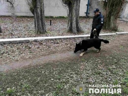 С собаками: под Днепром всю ночь искали 7-летнего мальчика