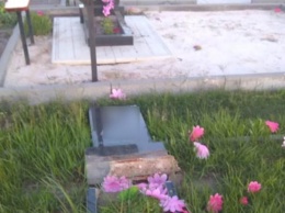 В Харьковской области дети 6, 10, 11 лет разрушили более 10 памятников и крестов на местном кладбище (ФОТО)