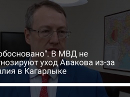 "Не обосновано". В МВД не прогнозируют уход Авакова из-за насилия в Кагарлыке