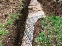 Под виноградником в Италии нашли древнеримскую мозаику