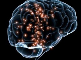 Ученые нашли в мозге "выключатель" боли