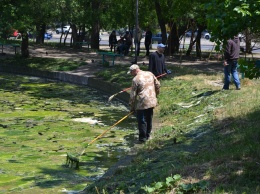 Благоустройство Дюковского сада в Одессе продолжается