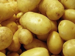 В Украину массово завозят "техническую картошку": можно ли ее есть