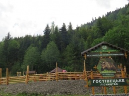 В Карпатах лесничие обустроили место отдыха для туристов у горного источника
