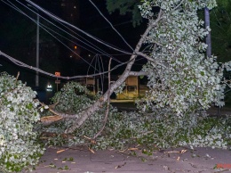 В Днепре в Южном переулке обрушилась электроопора и упало дерево: перекрыты две улицы