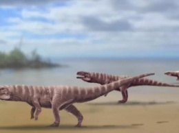 Найдены следы двуногого предка крокодилов