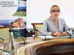 Буславец призвала парламентариев поддержать изменения в закон о рынке электроэнергии