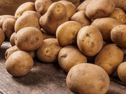 Старый картофель опасен для здоровья