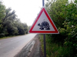 Водители, внимание. В Украине появились новые дорожные знаки. Как выглядят