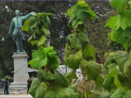 В Швеции призывают заменить памятник Карлу XII на Грету Тунберг