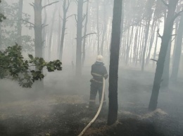 За неделю спасателям Павлоградцины 8 раз пришлось тушить пожары в экосистемах