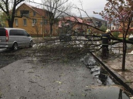 Из-за непогоды в Ивано-Франковской области погибли два человека, один пропал без вести