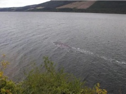 Оставило 9-метровый след: на озере Лох-Несс засняли неизвестное существо (фото)