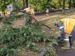 Непогода в Мариуполе: поваленные деревья, остановился электротранспорт