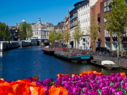 Власти Амстердама должны рассмотреть петицию об ограничении числа туристов