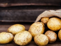 В Украине существенно снизились цены на молодую картошку