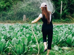 В Краснограде огородникам угрожают отключить воду
