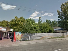 В Запорожье собираются выкорчевать деревья на Плотинной ради строительства кафе