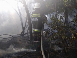 На Херсонщине ликвидировано 17 пожаров в экосистемах