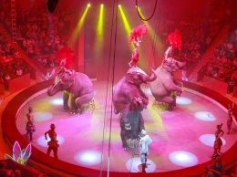 В ГИТИСе пройдет набор на экспериментальный курс цирковых режиссеров