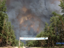 Пожары на Луганщине: в наиболее пострадавшем поселке сгорели 46 домов