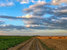 Легализация агропроизводителей обеспечит экономическую состоятельность громад - ВАГ