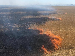 За сутки на Николаевщине спасатели 9 раз тушили пожары на открытых территориях (ВИДЕО)