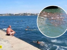 Пластик, гниющие водоросли и фекалии: в сети показали фото моря в Крыму