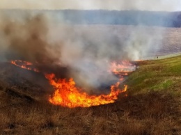 В Харьковской области за сутки произошли 12 пожаров в природных экосистемах