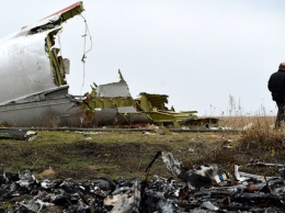 Нидерланды хотят присоединения других стран к иску против России из-за MH17