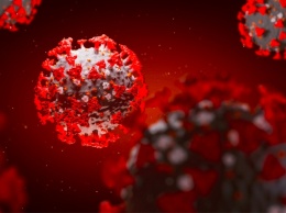 В геноме коронавируса нашли ВИЧ: чем это грозит для человечества