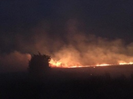 Огненная стихия не обошла стороной поля возле Мирнограда