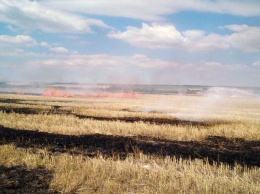 В Апостоловском районе горело поле