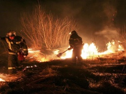На Днепропетровщине природа страдает от пожаров
