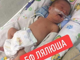 Днепровские волонтеры спасали малыша из Киева