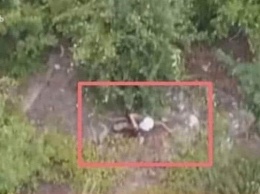Арестович: Настоящий позор - четыре дня то ли раненый, то ли уже мертвый солдат ВСУ, лежал на нейтральной полосе