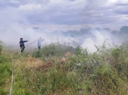 За сутки пожарные Николаевщины потушили 12 пожаров на открытых территориях (ФОТО)